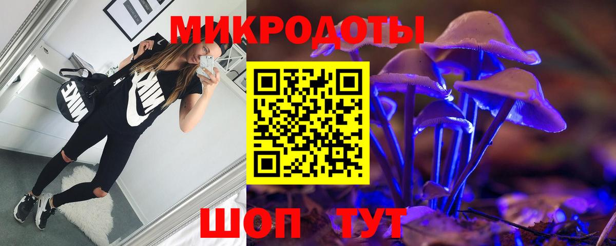 Псилоцибиновые грибы GOLDEN TEACHER  Псилоцибиновые грибы мицелий  Вход с VPN  Ликино-Дулёво 