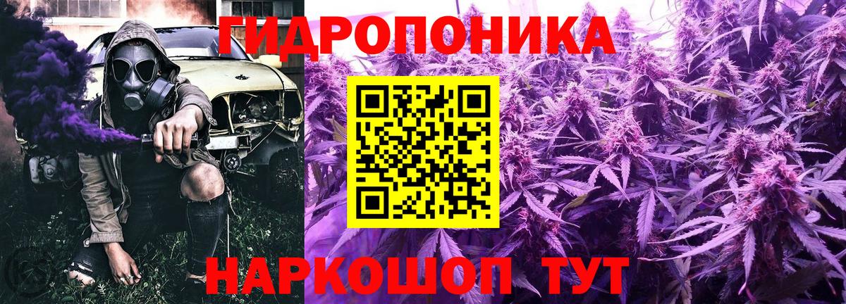 Каннабис White Widow Ликино-Дулёво